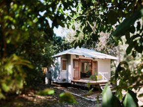 The Little Bush Hut